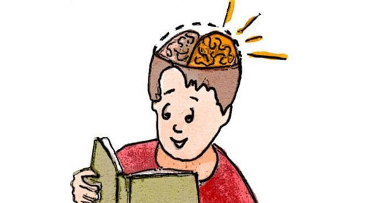 Person reading book showing left and right sides of brain activated