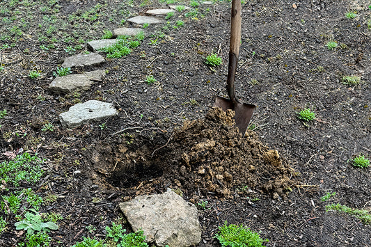 Dirt with stone path, hole, shovel next to pile of dirt
