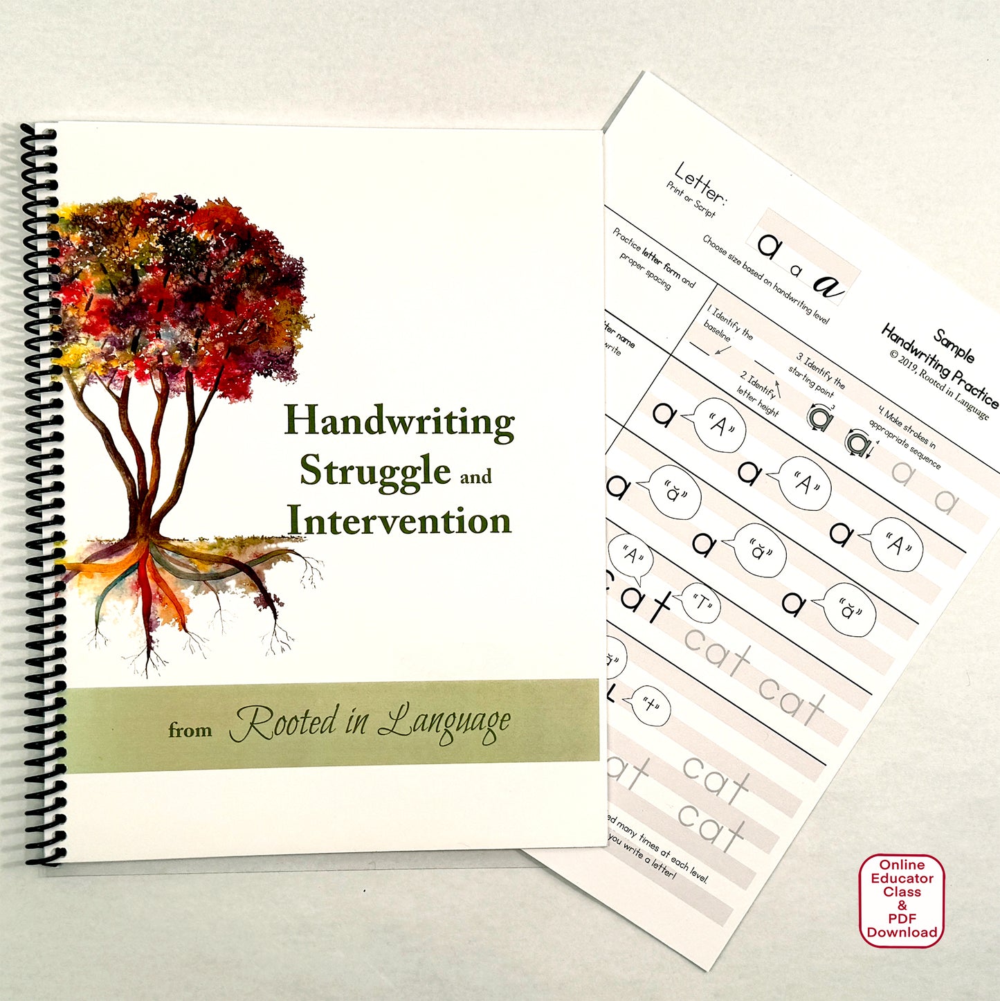 Handwriting Struggle & Intervention Educator Class