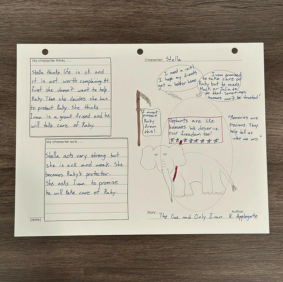 Explore-a-Story Graphic Character Journal