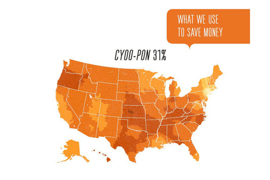 map of 50 United States in different orange colors depicting American vernacular