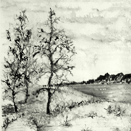 Black and white watercolor of tress on the shore of a river