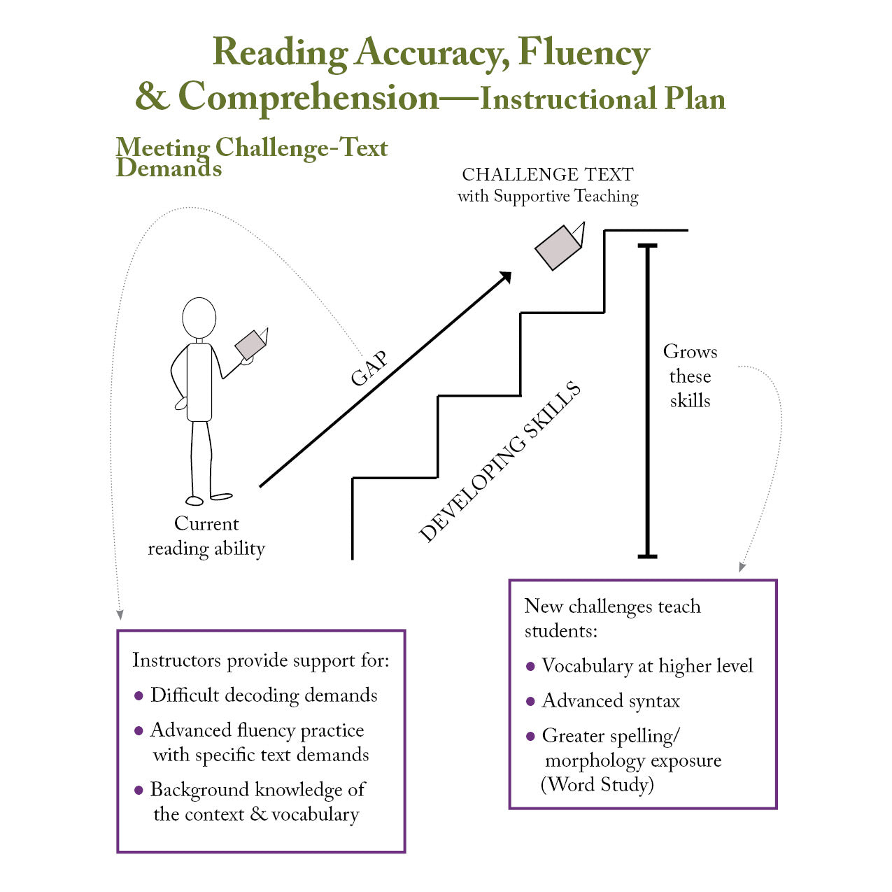 Reading Accuracy, Fluency & Comprehension Educator Class