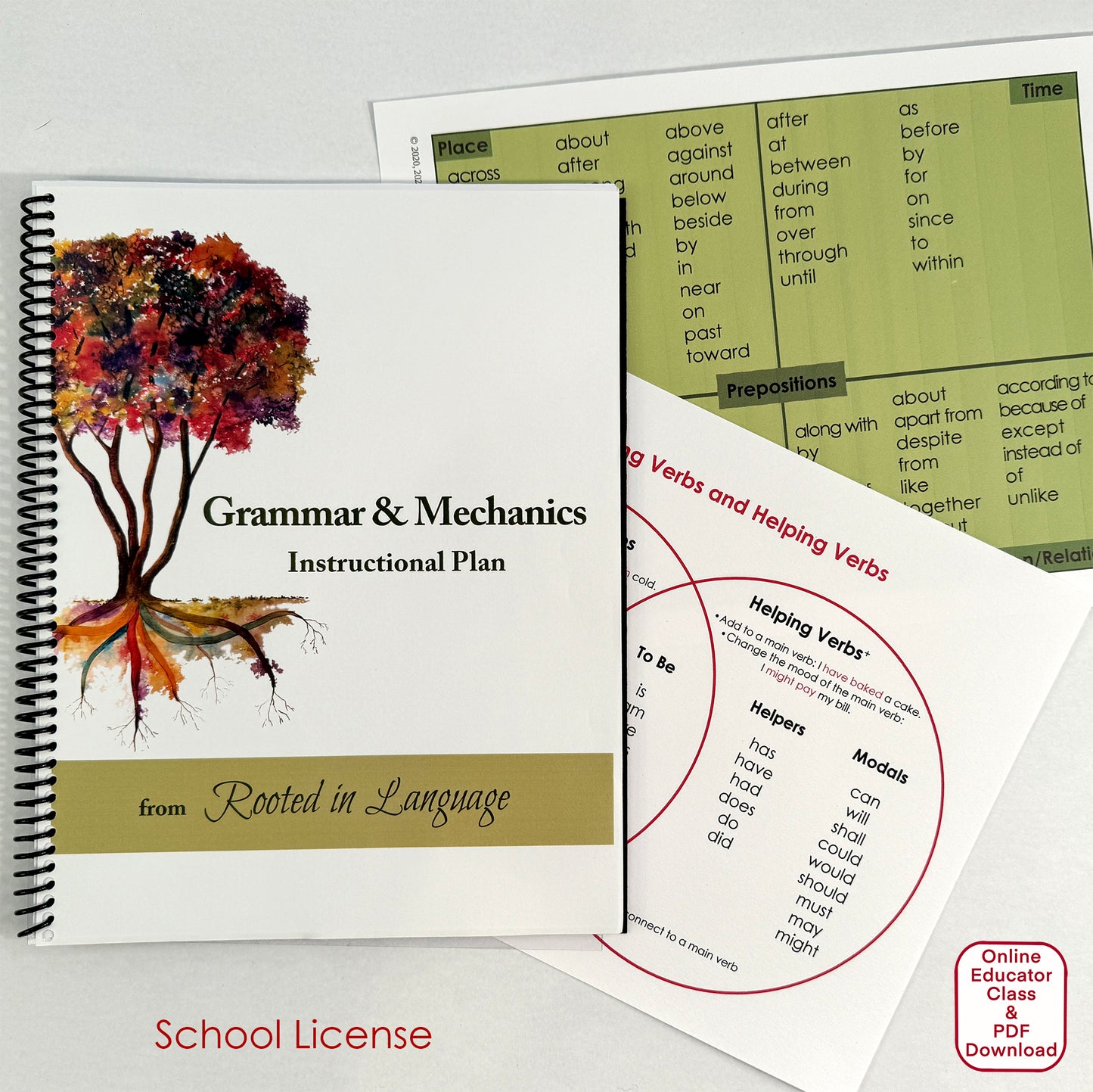 Grammar School License