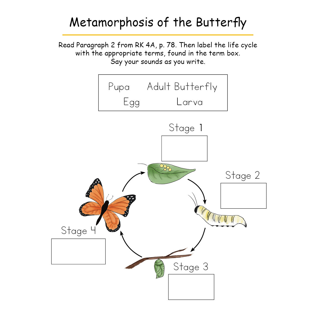 Pinwheels Year 2 Comprehensive Early Literacy Curriculum