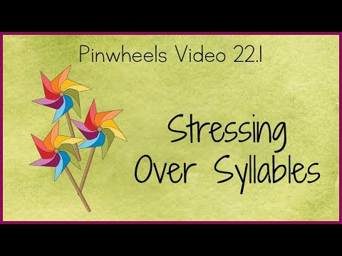 Sample Instructional Video